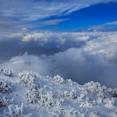 Snow covered frozen trees above the clouds, Niubeishan Landscape. Cattle Back Mountain in Sichuan Province, China. Hard Rime, deep snow, frost brittle ice. Snow mountains, Gongga mountain scenery.