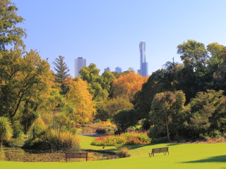 墨尔本皇家植物园