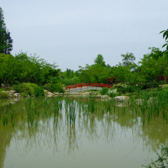 A red stone bridge over a lake with aquatic growing in the water in yuantouzhu park wuxi jiangsu province China.
