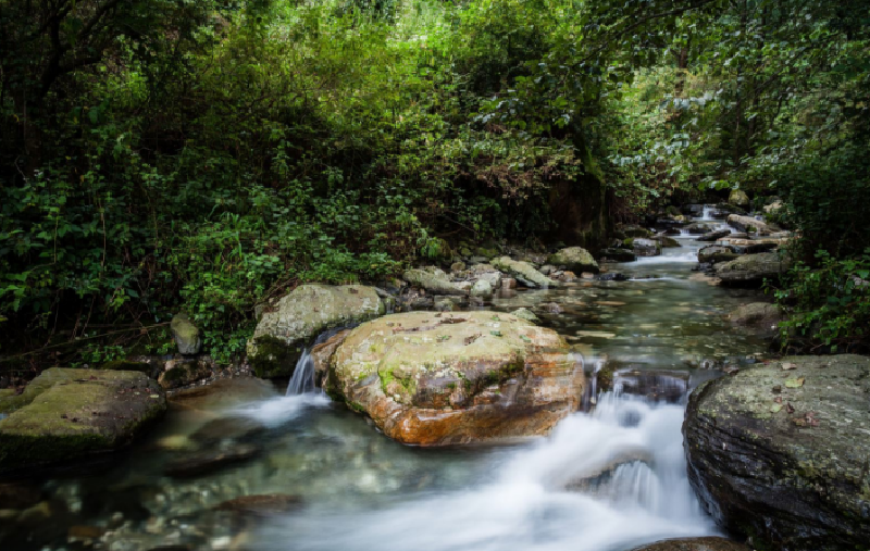 大理桃溪谷生态庄园