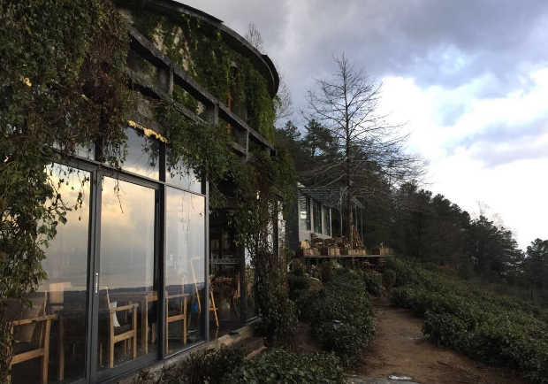 大理桃溪谷生态庄园