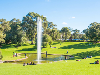 珀斯国王公园