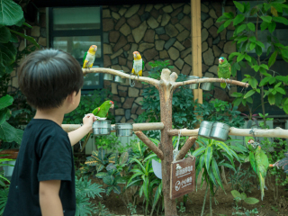 南宫五洲植物园