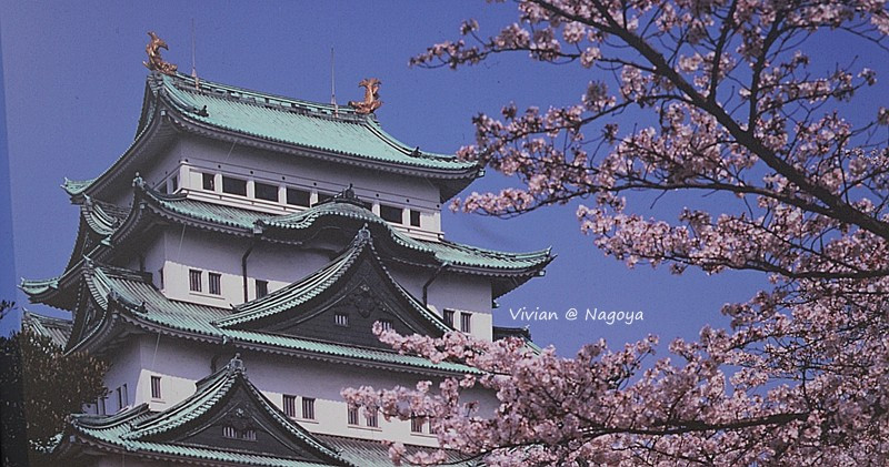 名古屋城天守阁是德川家世代居住之地,这是一座五层飞檐建筑