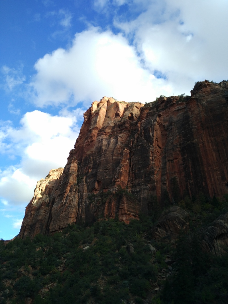 锡安公园的山石色彩艳丽,红色红的耀眼,黄色渐变呈现