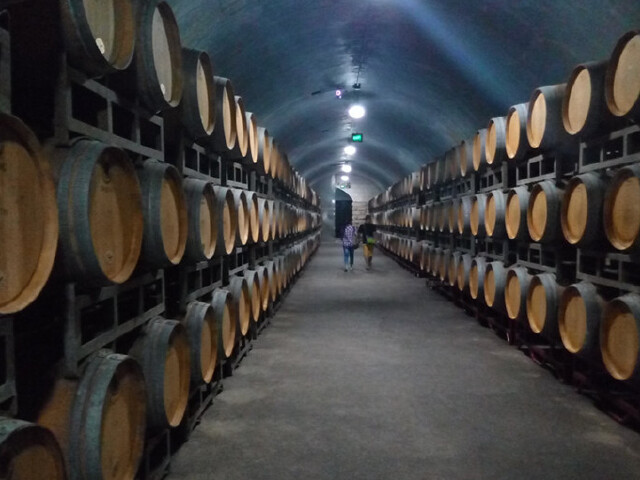 张裕酒文化博物馆4