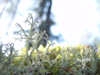 努克西奥国家公园