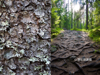 努克西奥国家公园