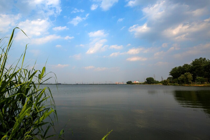 好想谈恋爱,漕湖的风带来你的香气