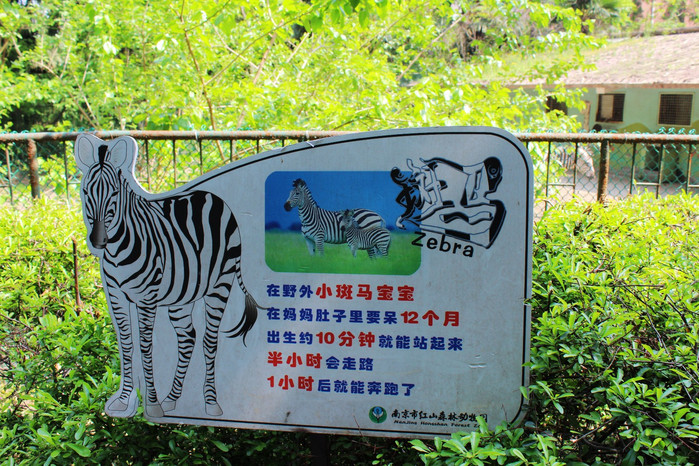 平顶山动物园介绍图片