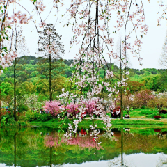 武汉东湖磨山景区
