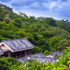 Slate roof on a house in the jungle. Yalong Bay Tropic Paradise Forest Park, Hainan, China.