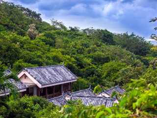 亚龙湾热带天堂森林公园