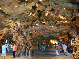 广富林古文化遗址