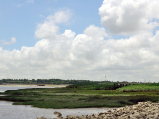 吴淞炮台湾湿地森林公园