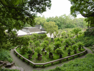 虎丘
