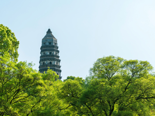 虎丘