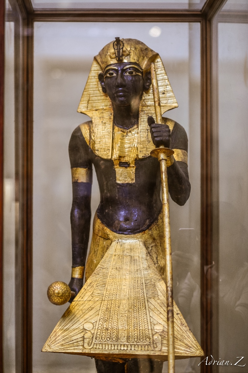 埃及二十天苦与乐,陆上水下继续留下我们自由行的足迹