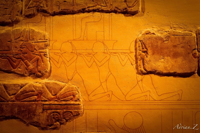 埃及二十天苦与乐,陆上水下继续留下我们自由行的足迹