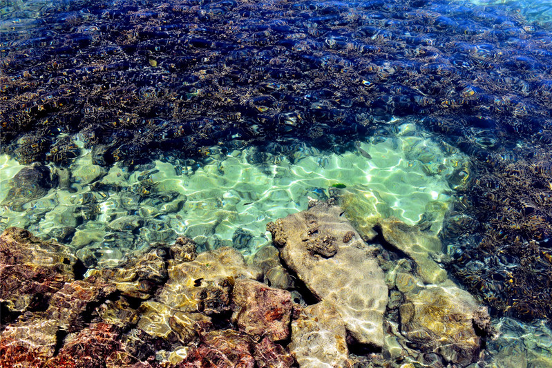 海底还有海滩图片