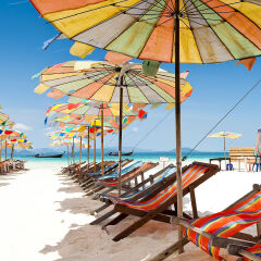 Colorful sunshade and chairs on beach