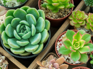 丽山音乐农场-DIY教室