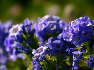 丽山音乐农场-风情水管屋