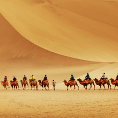 Desert style
