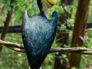 长隆野生动物世界