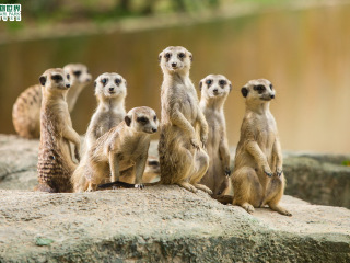 长隆野生动物世界