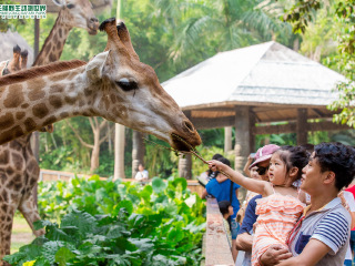 长隆野生动物世界