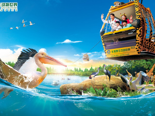 长隆野生动物世界