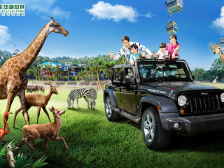 长隆野生动物世界