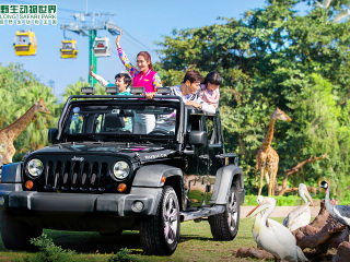 长隆野生动物世界