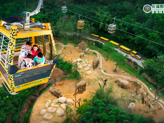 长隆野生动物世界