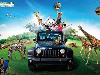 长隆野生动物世界