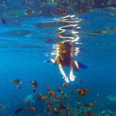 Indonesia, Bali, young woman snorkeling with fish