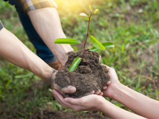 北京亿亩千田植树基地