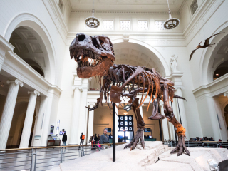 美国自然历史博物馆