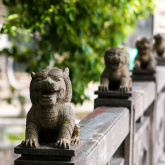 Little lion on the Suzhou bridge