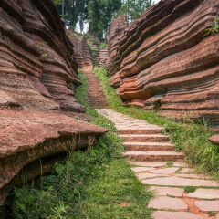 Red stone forest