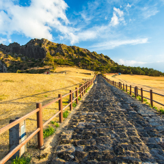 View of Seongsan Ilchulbong moutain in Jeju Island, South Korea.