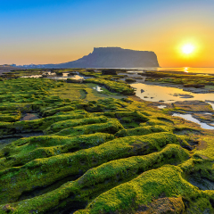 Sunrise at Jeju-Do Seongsan Ilchulbong, Jeju Island, South Korea