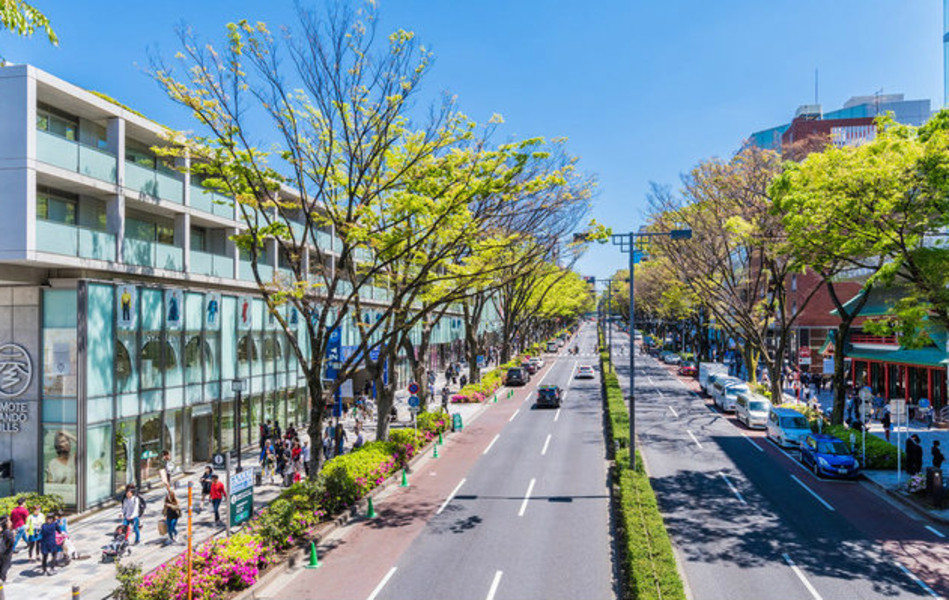 22年表参道地址 表参道电话 表参道点评 途牛移动站