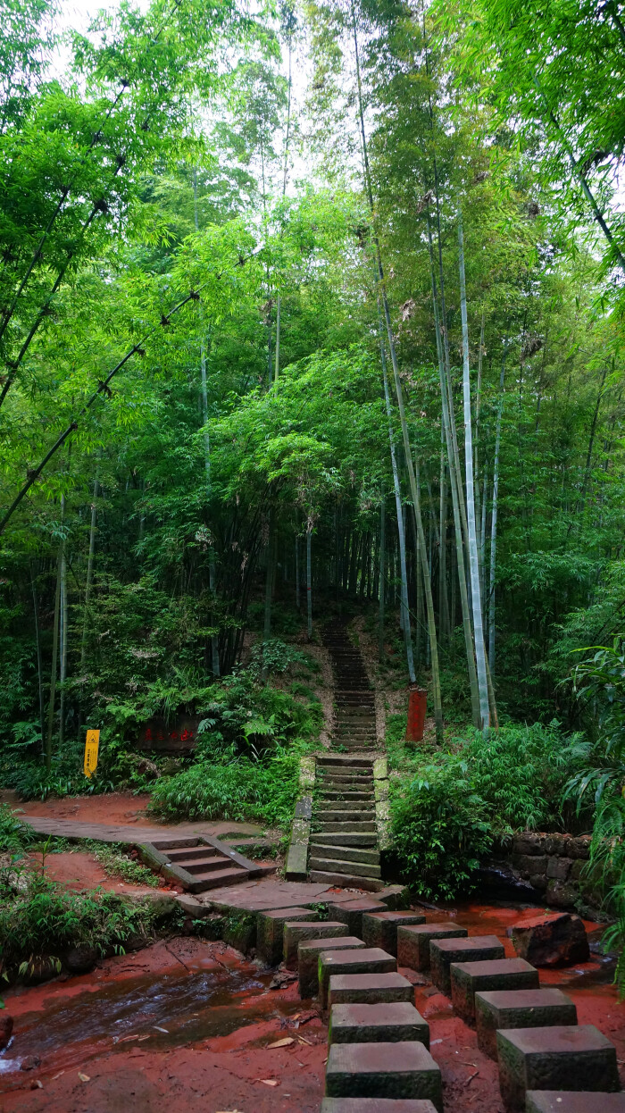 9是这样牛#蜀南竹海以"竹"漫步2日游【多图】_蜀南竹海游记_途牛