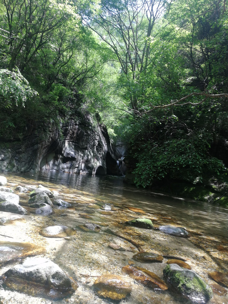 少華山目前主要景區為潛龍寺景區和石門峽景區消費:門票60/人,車票:25