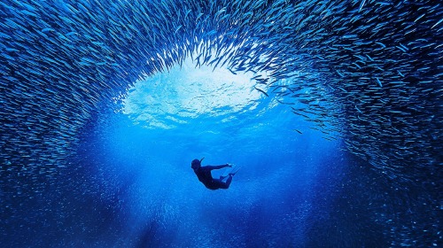 私家团·越南富国岛5日【免签·潜拍团队打造