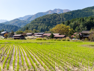 岐阜县
