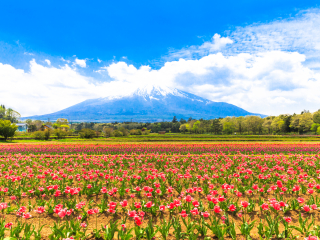 山梨县
