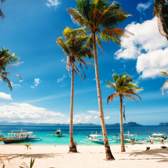 Tropical beach with palm trees, pilippine boats, blue sky, turquoise water and white sand. Paradise. Philippines, Palawan, El Nido. Wide angle, horizontal